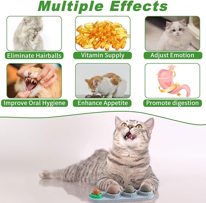CCINEE Catnip Balls for Cats Wall Catnip Toys Edible Cat Toys for Cat Lick Safe Healthy Kitten Chew Toys Teeth Cleaning Dental Cat Toys(4 Flavor)-Mewly Pet