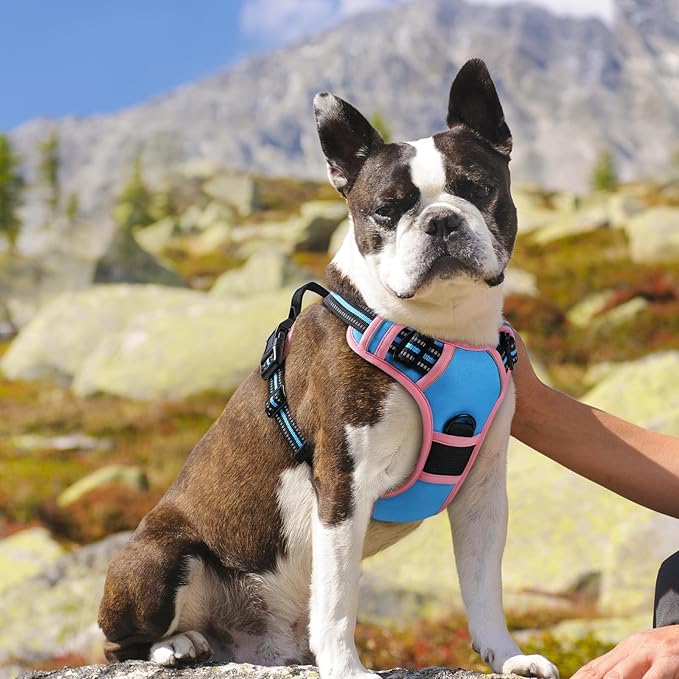 Eagloo Dog Harness for Large Dogs, No Pull Service Vest with Reflective Strips and Control Handle, Adjustable and Comfortable for Walking, No Choke Harness with 2 Metal Rings, Pink & Blue, M-Mewly Pet