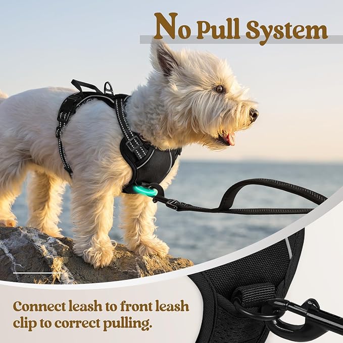 rabbitgoo Dog Harness No Pull with 2 Leash Clips, Adjustable Soft Padded, Reflective Oxford No Choke Pet Vest with Easy Control Handle for Puppy, Black, XS-Mewly Pet
