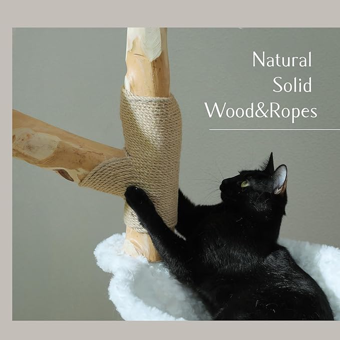 PAWZ Road Cat Tree for Indoor Cats Large Adults, 59 Inches Modern Cat Tower with Large Basket and Hammock, Natural Solid Wood, Luxury Condo & Dual Perches, Modern Cat Furniture for Big Cats, White-Mewly Pet