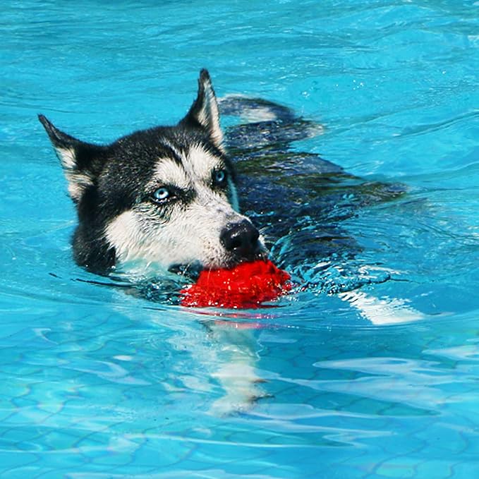 Dog Toys for Aggressive Chewers, Heavy Duty Tough Dog Toy for Large Dogs, Indestructible Squeaky Dog Toys-Mewly Pet