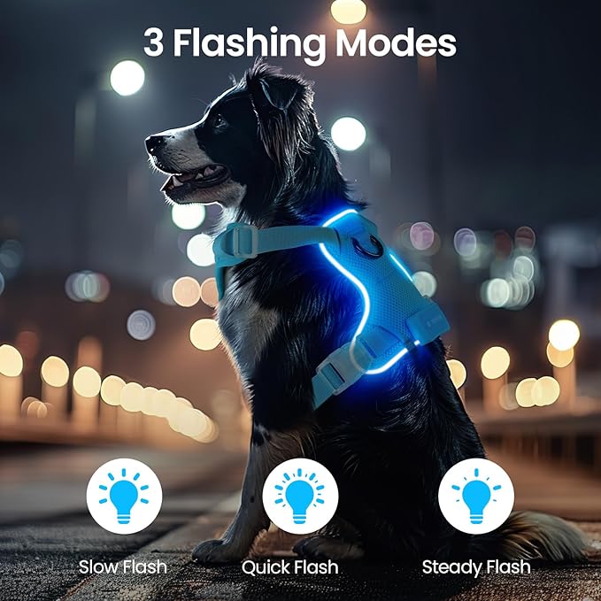 Light Up Dog Harness - Rechargeable LED Reflective Pet Vest for Night Walking - Adjustable No-Pull Safety Harness for Small Medium Large Dogs, Blue, XS-Mewly Pet