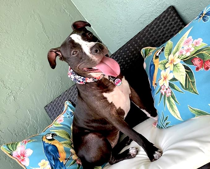 LYP Original Soundless Pet ID Tags | Custom Dog Tags Personalized for Pets | Durable Silicone Deep Engraved Dog Tag | No More Jingling | Pink Heart-Mewly Pet