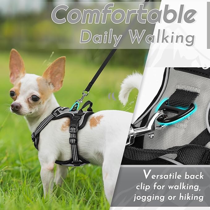 Eagloo Small Dog Harness No Pull, Service Vest with Reflective Strips and Control Handle, Adjustable and Comfortable for Walking, No Choke Pet Harness with 2 Metal Rings, Grey, XS-Mewly Pet