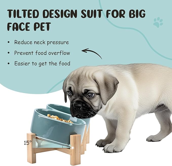 SPUNKYJUNKY 15° Slanted Ceramic Dog and Cat Bowl with Wooden Stand, Tilted Bulldog Food and Water Bowl No Slip Non-Spill for Cats Medium Dogs Big Face Pets 13.5 OZ (1.7 Cups, Light Green × 2)-Mewly Pet