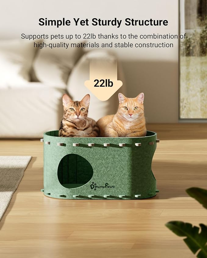 DownyPaws Cat House for Indoor Cats, Cat Bed Cave for Multiple & Large Cats Up to 22 Lbs, Scratch Resistant Peekaboo Cat Caves, Foldable Tunnel Enclosed Bed, PeekaPurr, Forest-Mewly Pet