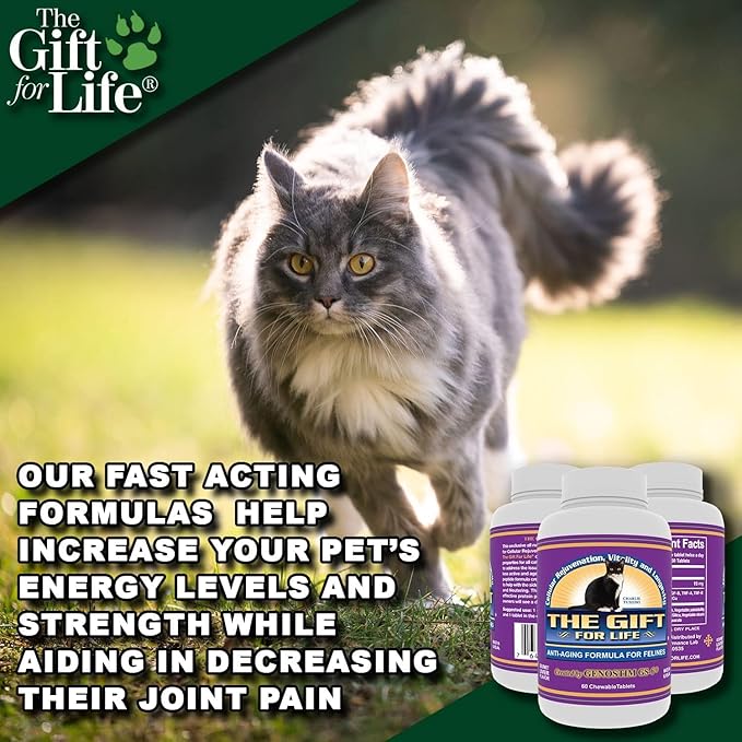 Feline Peptides, Peptides for Cats, Life Extending Cat Supplement, Immune Supplement, Joint Supplement, Skin and Coat Supplement for Cats, 60 Tablets-Mewly Pet