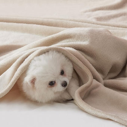 BEAUTEX Fleece Throw Blanket for Couch Sofa or Bed Throw Size, Soft Fuzzy Plush Blanket, Luxury Flannel Lap Blanket, Super Cozy and Comfy for All Seasons (Ivory, 50" x 60")