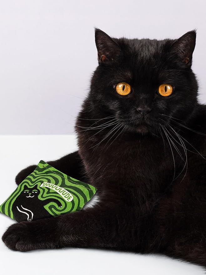 Blue Q Duuuuuuude Catnip Cat Toy. Premium Organic Catnip Grown in The USA, 100% Cotton Pouches, Kitty Graphics Sure to Delight Every Cat-Keeper.-Mewly Pet