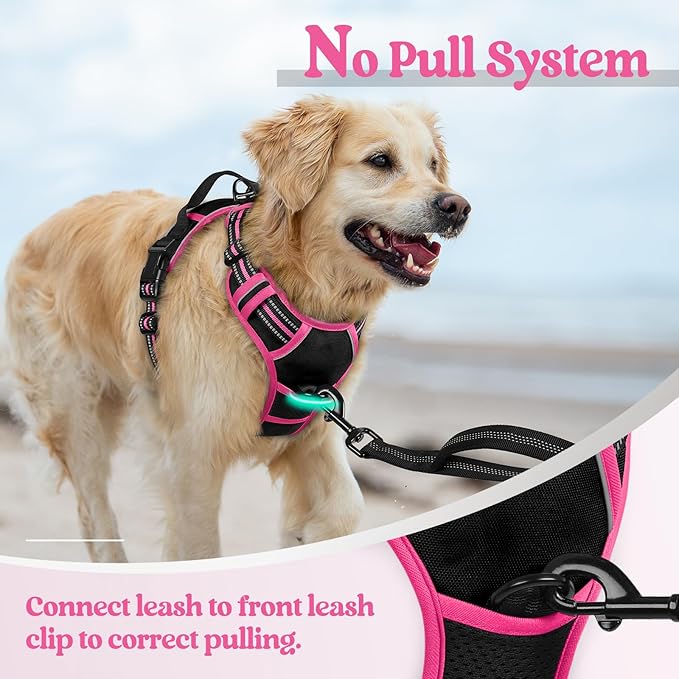 rabbitgoo Dog Harness No Pull with 2 Leash Clips, Adjustable Soft Padded, Reflective Oxford No Choke Pet Vest with Easy Control Handle for Large Dogs, Black & Hot Pink, L-Mewly Pet