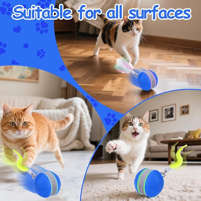 AIERSA Interactive Cat Toys for Indoor Adult Cats, Automatic Self-Play Cat Ball Toy for Kitten to Keep Them Busy, Electric Moving Chase Toy (Blue)-Mewly Pet
