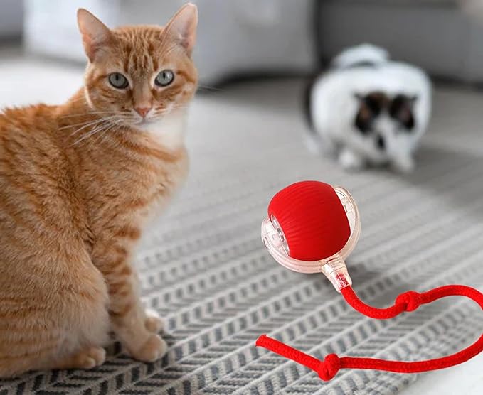 Interactive Pet Chase Toy - Rechargeable, Motion Ball, Self-Moving Kitten Toy for Indoor Interactive Playing, Smart Cat Rolling Ball-Mewly Pet