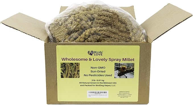 Birds LOVE Wholesome & Lovely Spray Millet Non-GMO for Birds Cockatiel Lovebird Parakeet Finch Canary All Parrots Healthy Treat - 2LBS-Mewly Pet