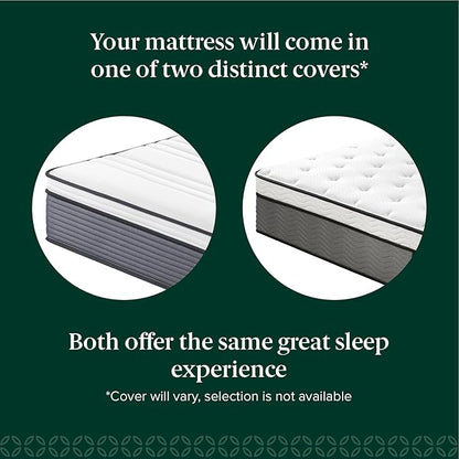 ZINUS 12 Inch True Support Hybrid Mattress [New Version], Twin, Fiberglass Free, Medium Feel, Motion Isolation, Certified Safe Foams & Fabric, Mattress in A Box