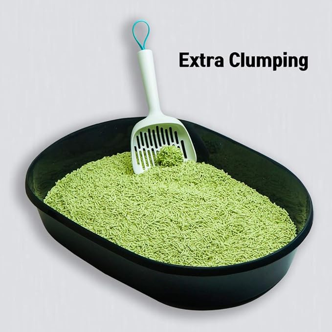I AM TOFU - Tofu Cat Litter, Natural Flushable, Dust Free, Extra Clumping Pellet Litter (10 LBS, Green Tea)-Mewly Pet