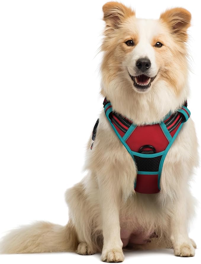 rabbitgoo Dog Harness No Pull with 2 Leash Clips, Adjustable Soft Padded, Reflective Oxford No Choke Pet Vest with Easy Control Handle for Medium Sized Dogs, Red & Teal, M-Mewly Pet