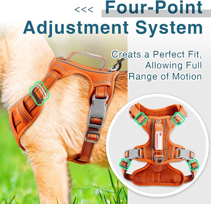 BARKBAY Dog Harness No Pull with ID Tag Pocket - Heavy Duty, Reflective, Easy Control for Large Dogs(Orange,S)-Mewly Pet