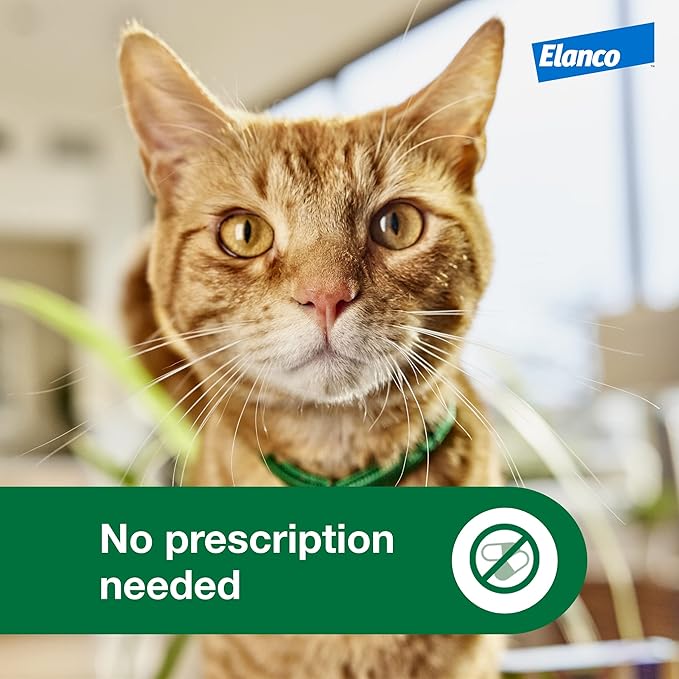 Advantage XD Large Cat Flea Prevention & Treatment For Cats over 9lbs. | 2-Topical Doses, 2-Months of Protection Per Dose-Mewly Pet