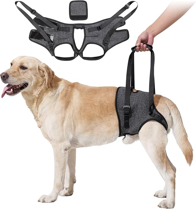 HEYWEAN Dog Sling for Large Dogs Hind Leg Support Harness Ideal for Elderly Injured Arthritic Dogs Provides Rehabilitation Aid for Weak Back Legs Comfortable and Durable Design-Mewly Pet