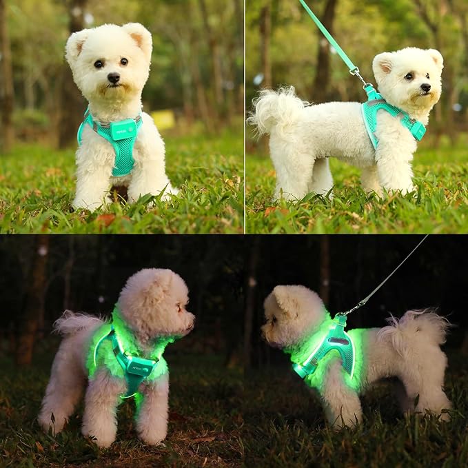 Light Up Dog Harness,Rechargeable LED Dog Harness for Small Medium Large Dogs,Reflective Lighted Safety Vest for Night Walking & Camping,Lightweight & Adjustable,Light Green,XS-Mewly Pet