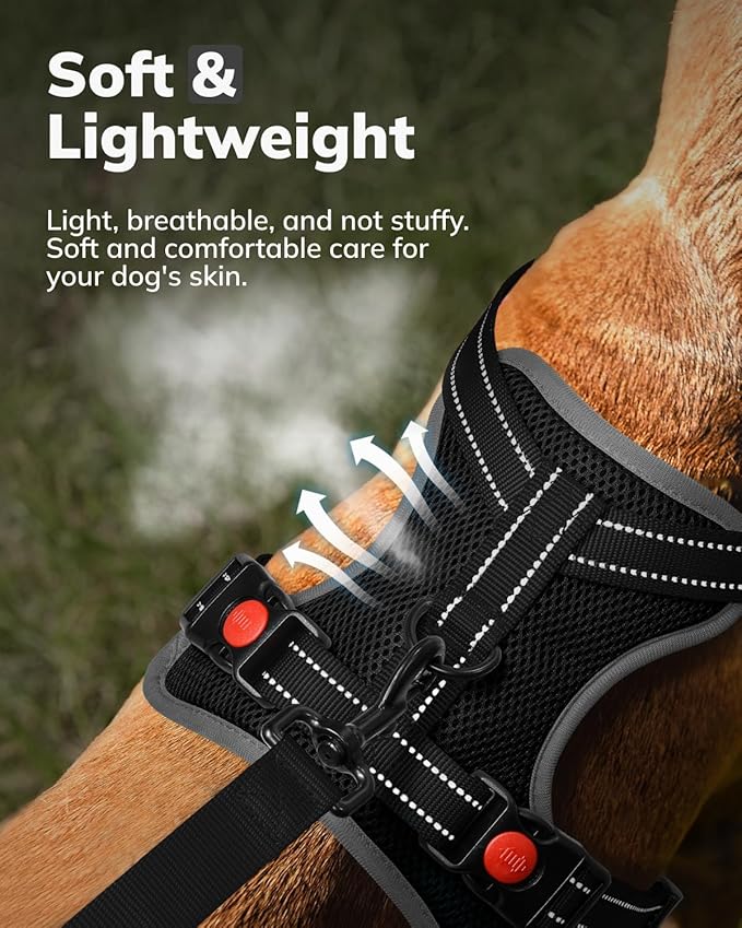 MIDOG No-Pull Dog Harness | Adjustable & Reflective Pet Harness Leash Set for Small Medium Large Dogs Walking, Training| No Choke, Front Clip, Soft Padded Vest with Easy Control Handle - Black, M-Mewly Pet