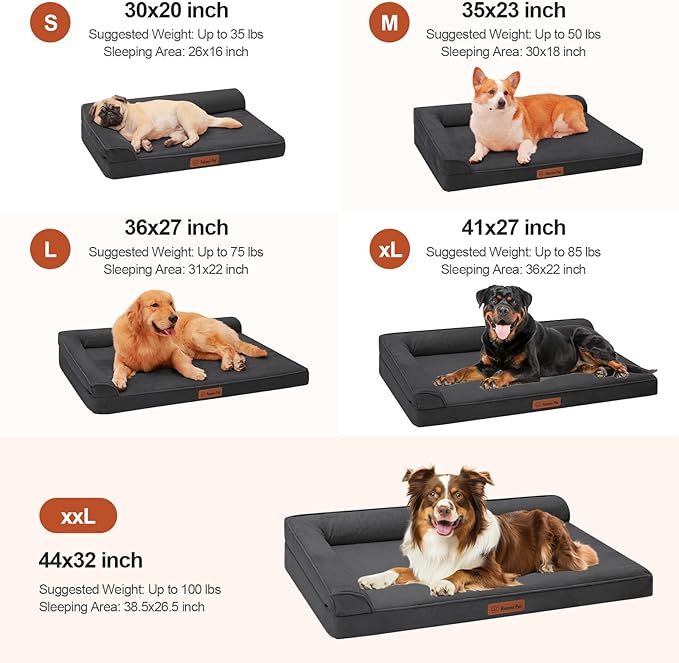 Chew Proof Dog Bed, 3" Memory Foam Dog Bed for Medium and Large Dogs, Removable and Washable Microsuede Cover, Waterproof Liner, Nonskid Bottom, 36x27 Inches L Dark Grey-Mewly Pet