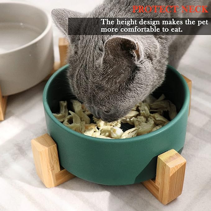 Petygooing Ceramic Dog Cat Bowl Set with Stand,Small Dog Bowls,Food and Water Dishes, Cute Modern Anti Slip Set of 2 Pet Food Dish- Small Size Pet (13.5OZ/5.1 in) Green-Mewly Pet
