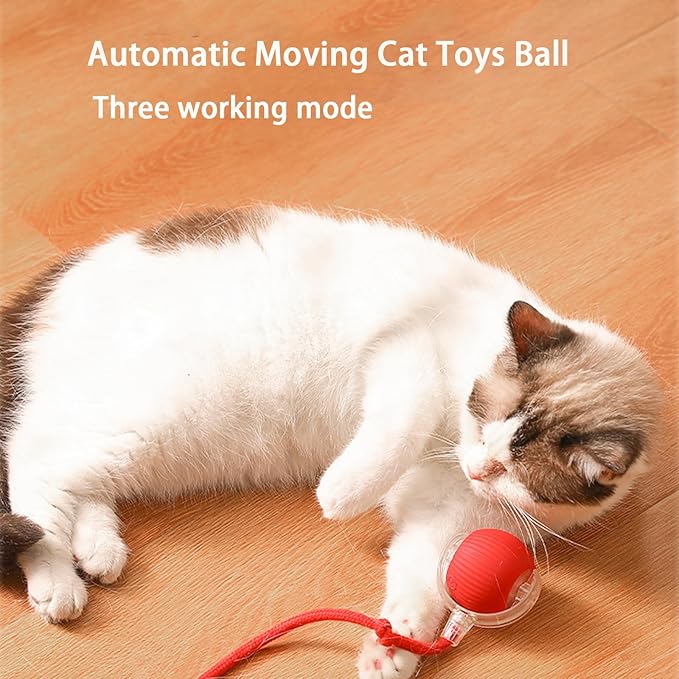 Interactive Cat Toy Ball for Indoor Cats - 3-Speed Smart Rolling Ball with Flashing Lights, USB Rechargeable Automatic Motion Kitten Toys for Bored Adult Cats & Playful Kittens-Mewly Pet