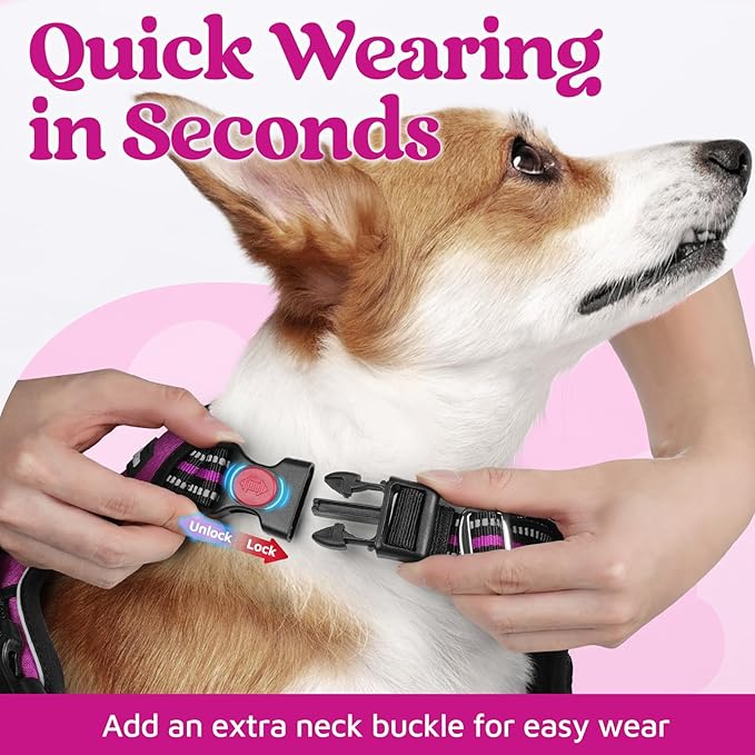 rabbitgoo Dog Harness for Large Dogs, No Pull Pet Vest with 3 Buckles, Adjustable Soft Padded Pet Harness with Easy Control Handle and Reflective Strips, Purple, XL-Mewly Pet