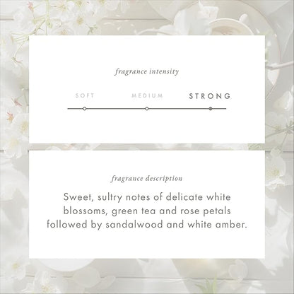 ScentAir Whisper Home Monthly Plug-in Refill, Fragrance Cartridge for Home and Office, White Blossom Tea