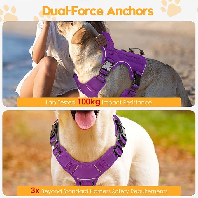 Heavy-Duty Tactical Dog Harness for Large Dogs, No Pull Adjustable Reflective Pet Vest with Molle System, K9 Military-Grade Control for Service Training, Outdoor & 10+ Breeds, Purple, Small-Mewly Pet
