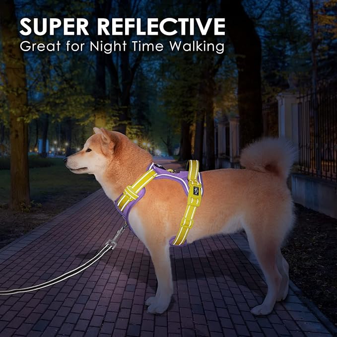 PHOEPET No Pull Dog Harness, Unique Colors Reflective Adjustable Dog Vest, with Soft Training Handle Metal Clips for Small Medium Large Dogs (Baby Purple Base & Yellow Straps,M)-Mewly Pet