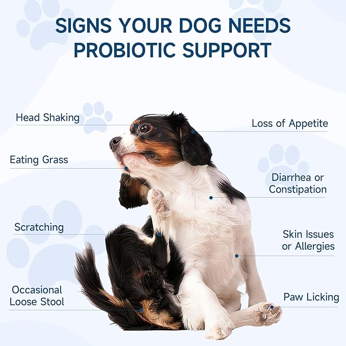Dog Probiotic for Dogs, 200 Soft Treats Dog Probiotics for Digestive Health & Immune System, Probiotic Chews for Dogs, Support Gut Health|Itchy Skin|Diarrhea|Gas Relief Treatment-Mewly Pet