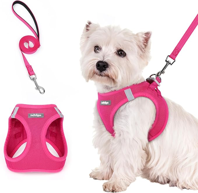 rabbitgoo Dog Harness Small Sized and Leash Set, Step in Soft Light Puppy Vest, Breathable Mesh Pet Harness, Reflective for Safe Easy Walking, Rose Red S-Mewly Pet