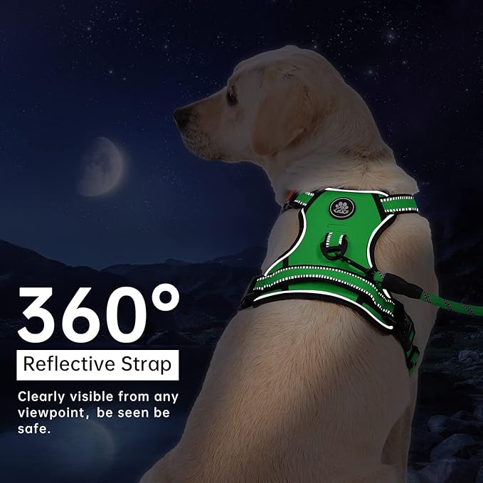 IVY&LANE No Pull Dog Harness for Large Dogs, Dog Vest Harness with Leash, Safety Belt and Storage Strap, Fully Adjustable Harness, 360° Reflective Strip, Soft Handle (Green, XL)-Mewly Pet