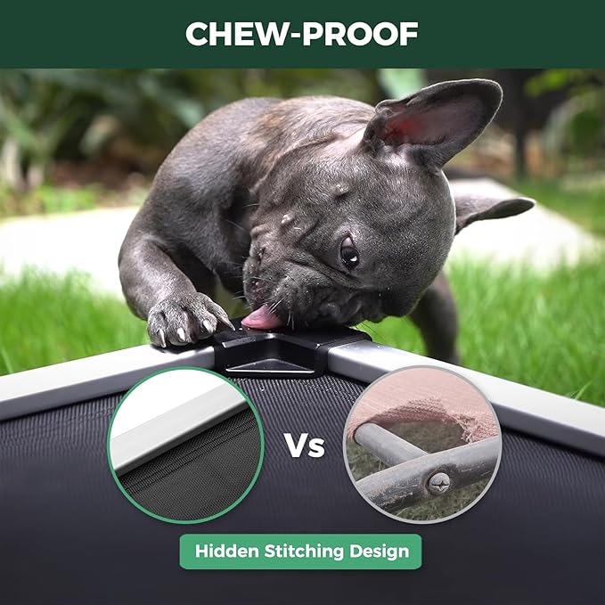 FXW TitanNest Chew-Proof Elevated Dog Bed, Raised Cot for Indoor/Outdoor/Camping Use, Durable & Waterproof Cooling Pet Bed for Small Dogs, 36.0" L x 24.0" W x 4.5" H, Black-Mewly Pet