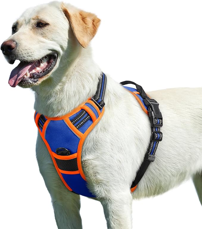 Eagloo Dog Harness for Large Dogs, No Pull Service Vest with Reflective Strips and Control Handle, Adjustable and Comfortable for Walking, No Choke Pet Harness with 2 Metal Rings, Blue & Orange, L-Mewly Pet