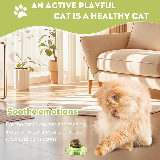 Catnip Balls Catnip Ball Toys Including 4 Pieces Suitable for All Breeds of Cats Relieve Anxiety-Mewly Pet