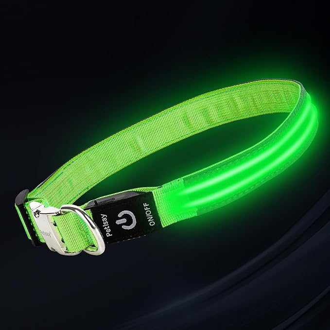 LED Dog Collar with Metal Buckle - USB Rechargeable Glow Collar for Dogs, Waterproof Light Up Dog Collar w/Reflective Strips - Adjustable Night Safety Collars by PetIsay(Green,Large)-Mewly Pet