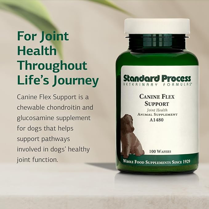 Standard Process Inc. Canine Flex Support - Joint & Immune Health Supplement for Dogs - Chewable Wafers for Healthy Joint Function Support - Nutritional Whole-Food Based Supplement - 100 wafers-Mewly Pet