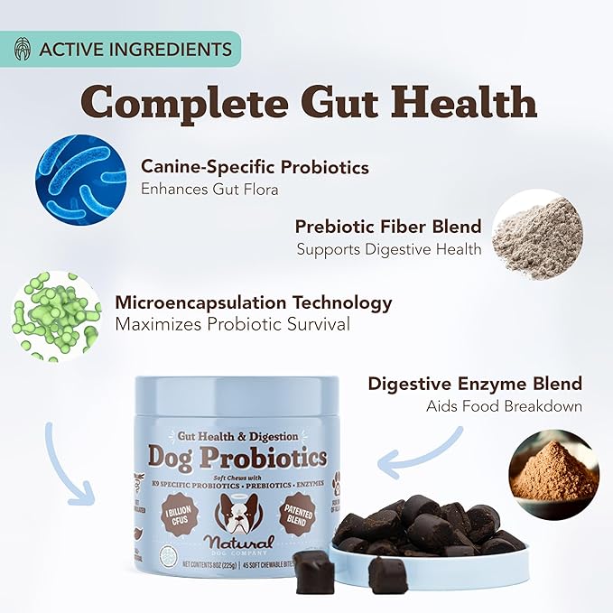 Natural Dog Company Gut Health & Probiotic Chews for Dogs (45 Ct), Prebiotics, Digestive Enzymes & Canine Specific Probiotics for Digestion, Gas, Loose Stool & Immune System Support, 1 Chew Daily-Mewly Pet
