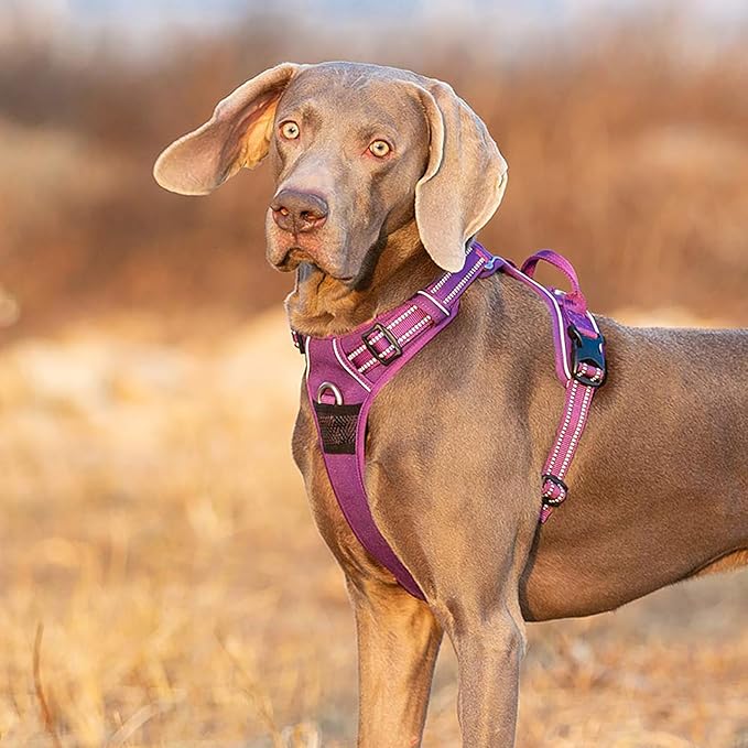 TRUE LOVE Dog Harness No Pull Nylon Reflective Pet Harness Adjustable Comfortable Control Step-in Brilliant Colors Truelove TLH56512-Mewly Pet