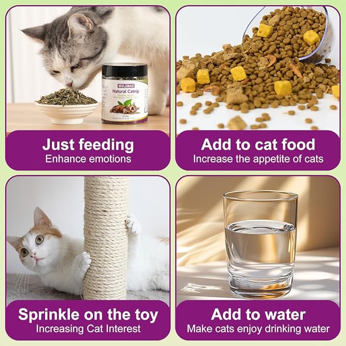 210ML Organic 100% Natural Catnip Cattle Grass Mint Taste Funny Cat Toy New Cat Toy Interactive Cat Toys Pet Supplies-Mewly Pet