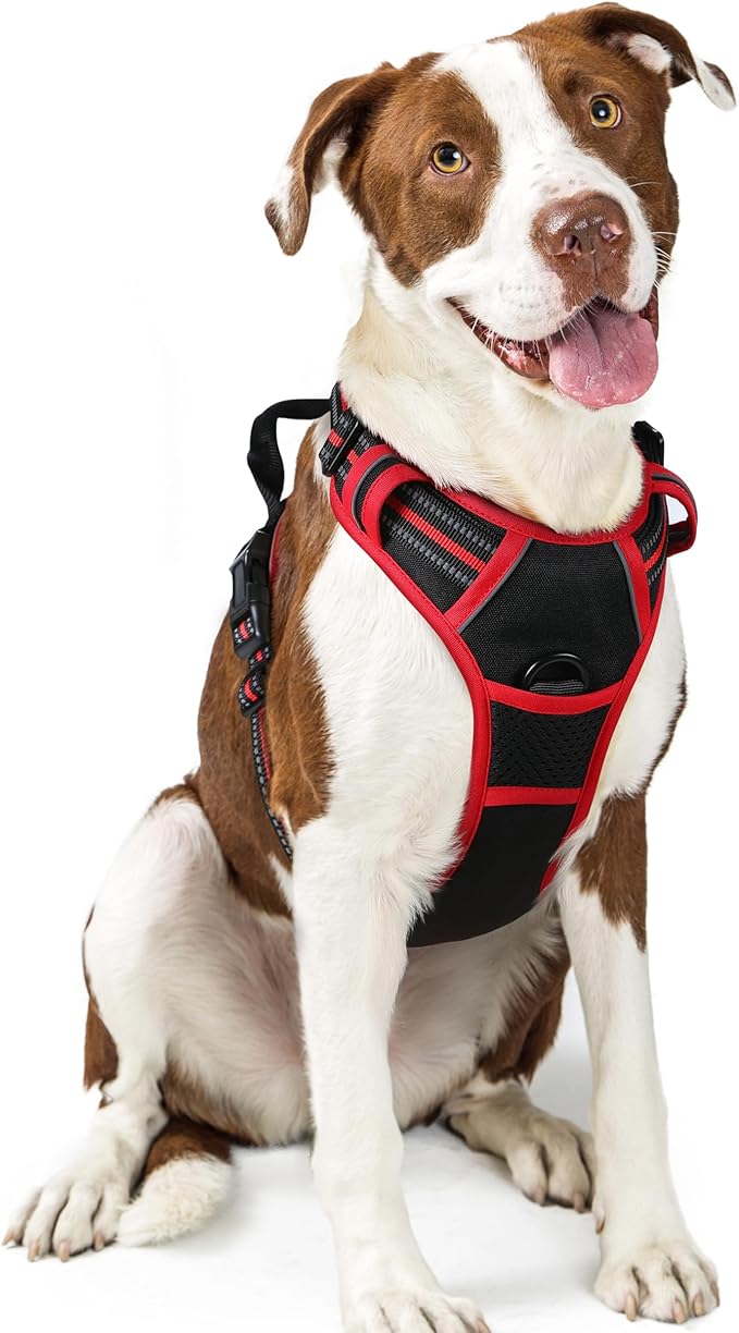 rabbitgoo Dog Harness No Pull with 2 Leash Clips, Adjustable Soft Padded, Reflective Oxford No Choke Pet Vest with Easy Control Handle for Large Dogs, Black & Red, L-Mewly Pet