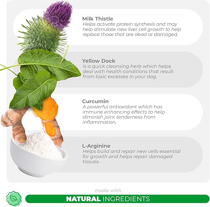 Milk Thistle for Dogs - 90 Soft Chews - Liver and Kidney Support - Hepatic Support with EPA & DHA - Detox - Liver Supplement for Dogs with Choline and L-Arginine.-Mewly Pet