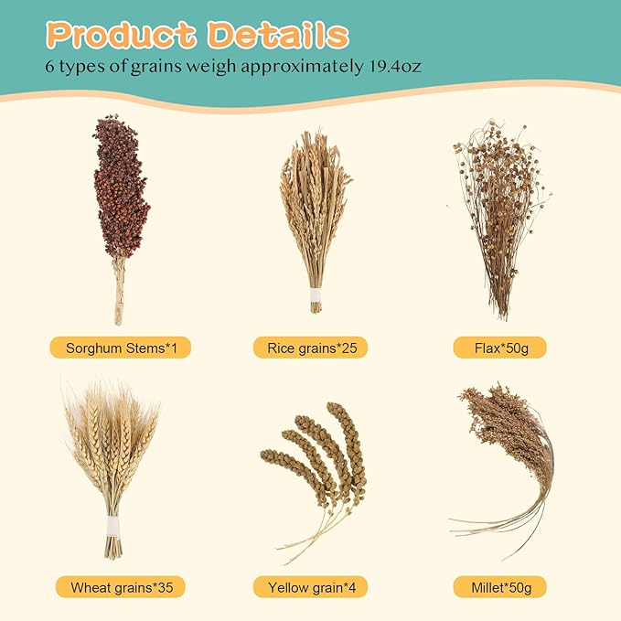 Hamster Spray Set - Natural Snack Grains & Chew Toys for Cage Decoration Accessories, Soft Bedding for Dwarf Syrian Hamsters, Gerbils, Mice & Small Pets-Mewly Pet