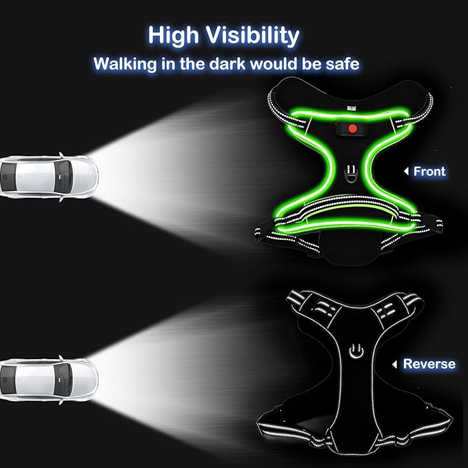 Light Up Dog Harness, No Pull LED Dog Harness with Handle, Rechargeable Lighted Safety Vest for Small Medium Large Dogs, Adjustable Soft Dog Lights for Night Walking-Mewly Pet