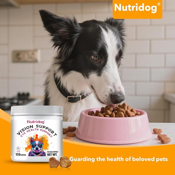 Eye Supplements for Dogs - Vision Support Soft Chews with Lutein, DHA & Vitamin C | 120ct Salmon Flavor Tear Stain Chews | Cataract & Dry Eye Relief Supplement (120 Ct, Salmon)-Mewly Pet