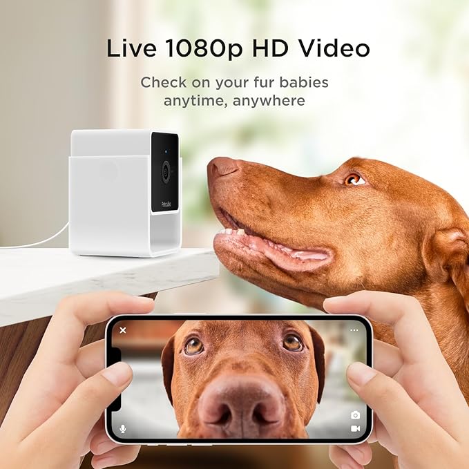 Petcube Cam The Pack of 3 | Indoor Wi-Fi Pet Security Camera with Phone App, 2-Way Audio and Video, Night Vision, 1080p HD Video and Smart Alerts-Mewly Pet