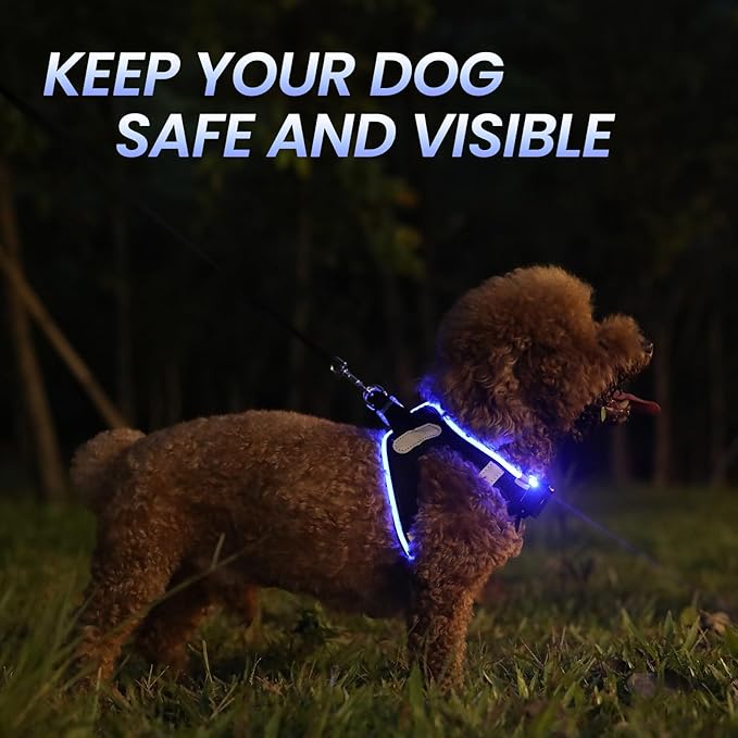 PceoTllar Light Up Dog Harness, LED No Pull Reflective Dog Harness, Flashing Lighted for Night Walking - Small/Medium (Black Blue,s)-Mewly Pet